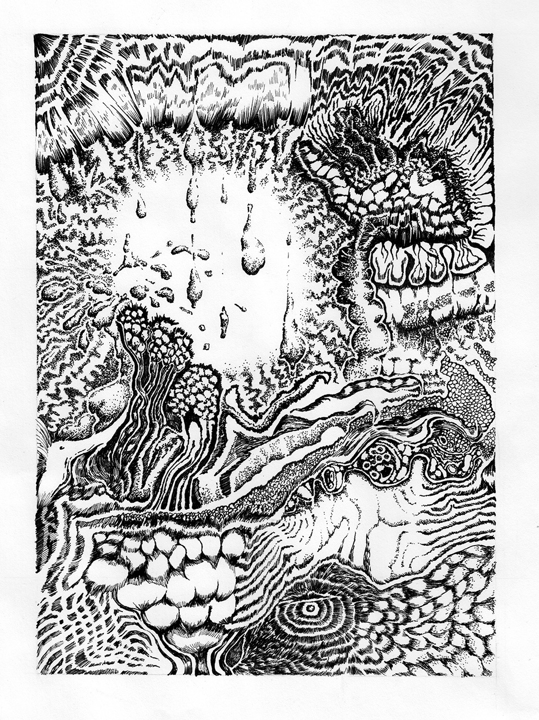 inc drawing