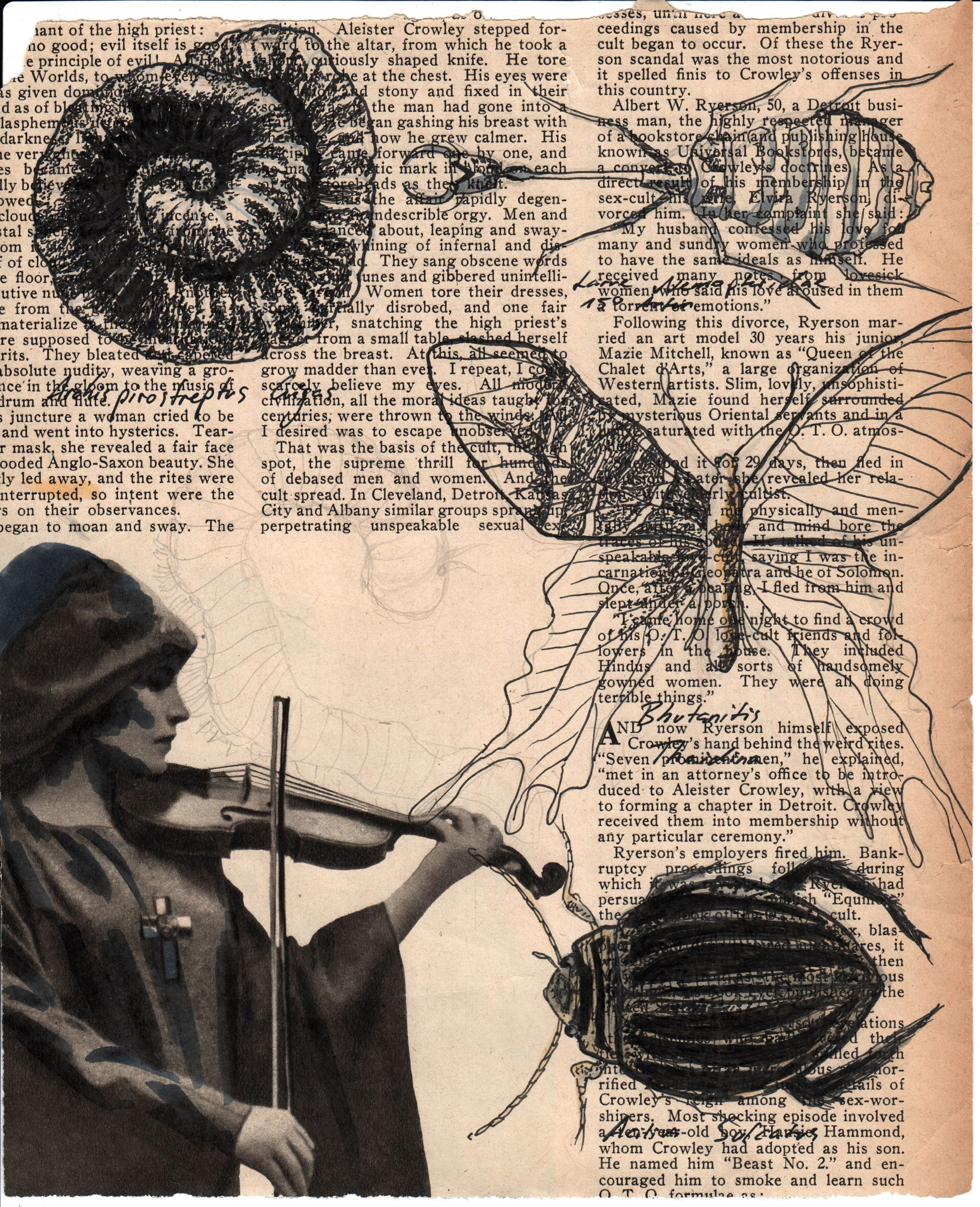 ink drawing on newspaper for the short film fragmente by tightrope films. mythical. insects. by f-land