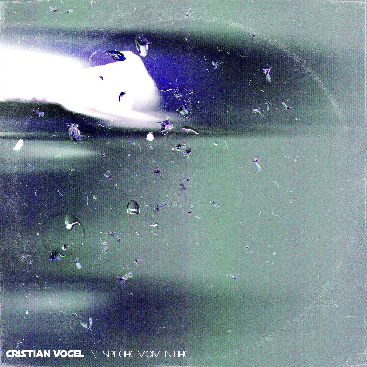 alternative vinyl record cover design for Cristian Vogels LP Specific Monumentific by f-land